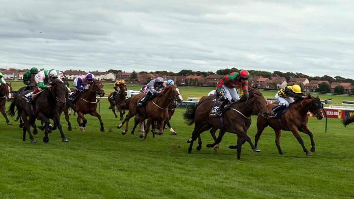 Ayr Racecourse